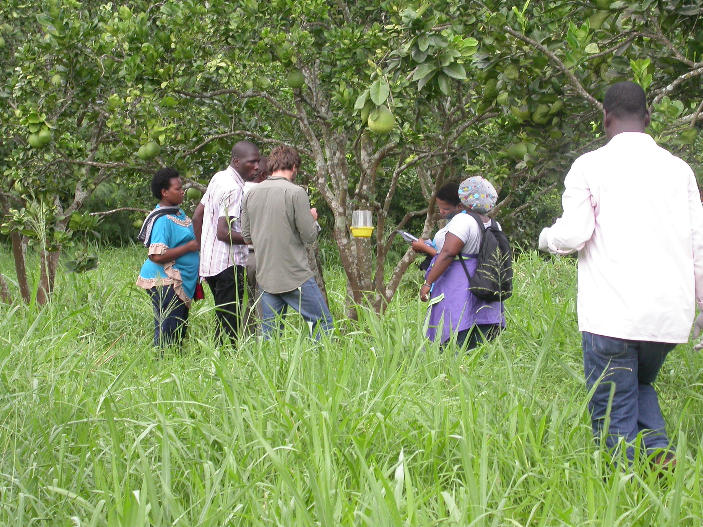 hands on practice on insect trapping at the Sokoine University (SUA)