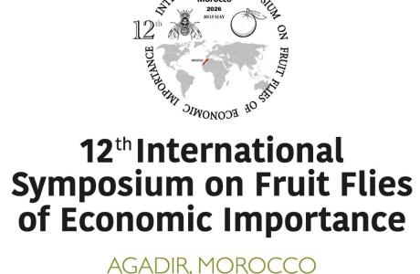 logo ISFFEI 2026